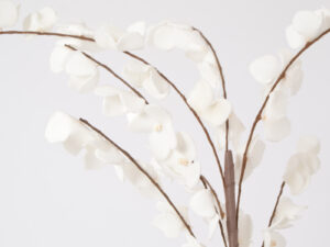 Branche déco Blanche