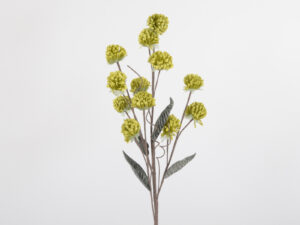 Flora Boule Multi Vert
