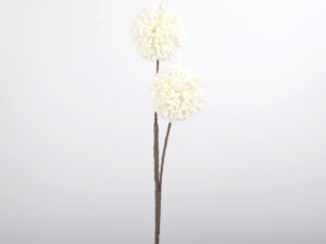 Flora Boule Double Blanche
