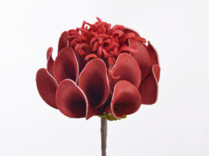 Flora Fleur Rouge