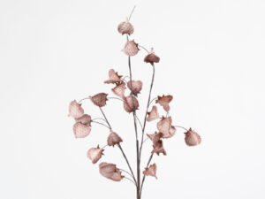 Flora Branche Terra