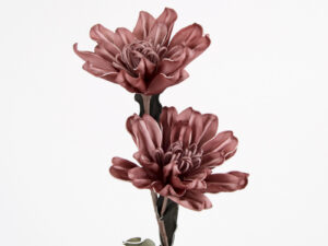 Flora Branche Dble Terra