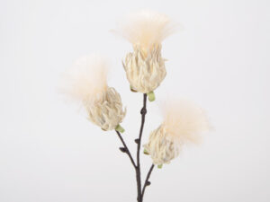 Branche Bunch Plume Ivoire