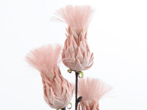 Branche Bunch Plume Rose