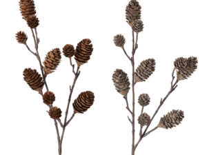 Branche Déco Pin