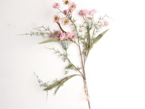 Fleur Rose 36