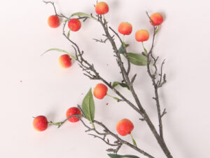 Branche Fruit