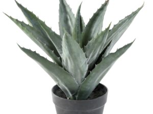 AGAVE artificielle