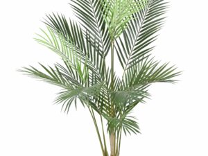 ARECA Artificiel 100cm