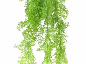 ASPARAGUS Artificiel