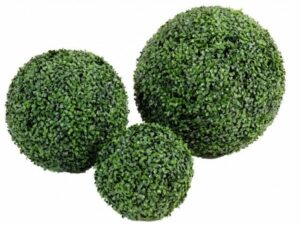 BOULE DE BUIS