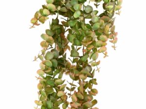EUCALYPTUS Artificiel
