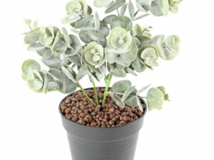 EUCALYPTUS PIQUET Artificiel