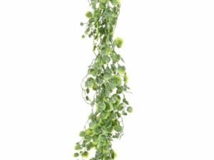 GLECHOMA GUIRLANDE Artificiel