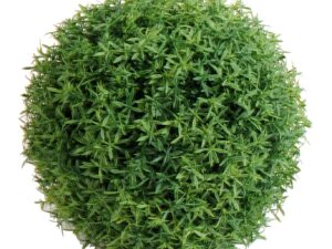 HEDYOTIS BOULE 23 Artificielle