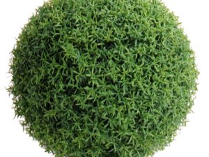 HEDYOTIS BOULE 33 Artificielle