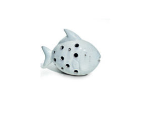 POISSON BLANC