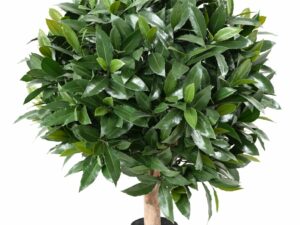 LAURIER NOBILIS UV Artificiel