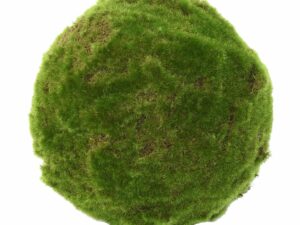 MOUSSE BOULE 23 Artificielle