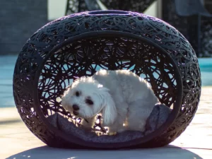 NICHE A CHIEN