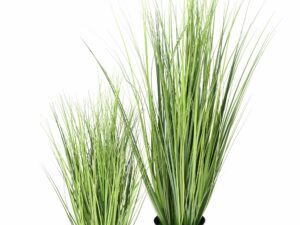 ONION GRASS Artificielle