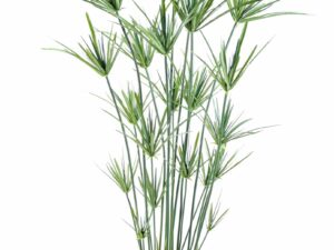 PAPYRUS Artificiel