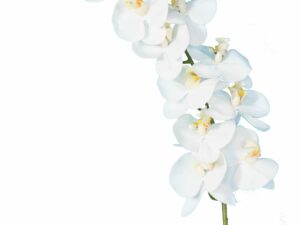 PHALAENOPSIS TIGE Artificiel