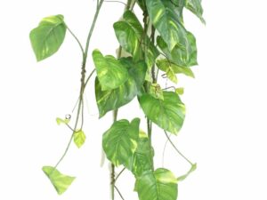 POTHOS CHUTE LARGE Artificiel