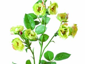 ROSE SAUVAGE Artificielle
