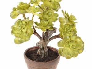 SUCCULENT POT Artificielle