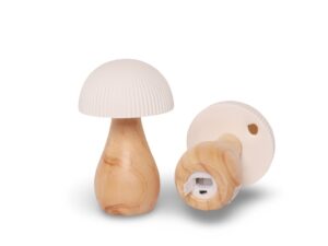Champignon en bois lumineux 2