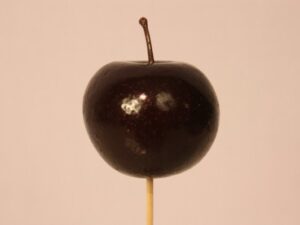 Stick Bambou décor pomme D5.5cm h 15cm