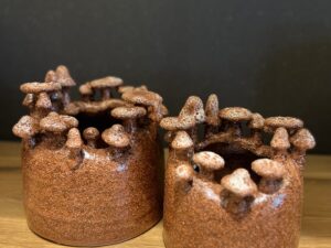 Pot céramique avec champignon