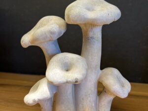 Champignon décoration
